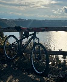 Orbea 29”