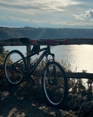 Orbea 29”