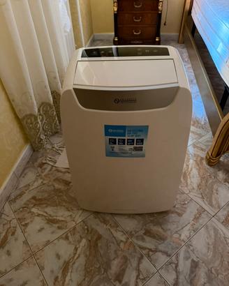 Pinguino Olimpia splendid air pro 14Hp