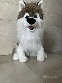 Peluche