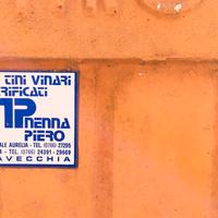 Raro TINO VINARIO brevettato, in cemento