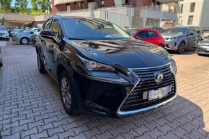 LEXUS NX 300 Hybrid 4WD F-Sport