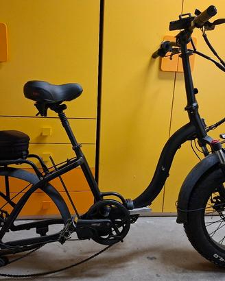 Bici elettrica 