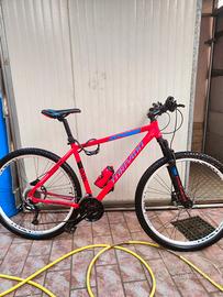 Bici Torpado 29