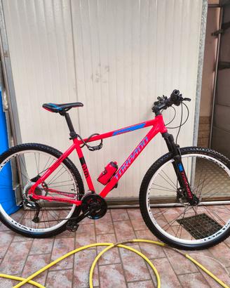 Bici Torpado 29
