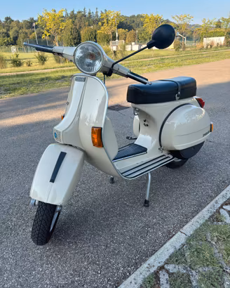 P150x 1981