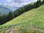 Immagine 12