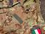 Immagine 3