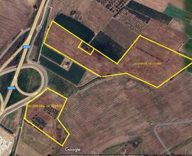 Terreno agricolo