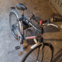 Bici da Uomo - VICINI