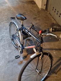 Bici da Uomo - VICINI