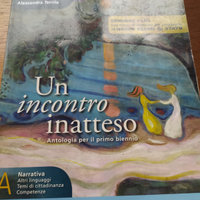 Un incontro inatteso antologia