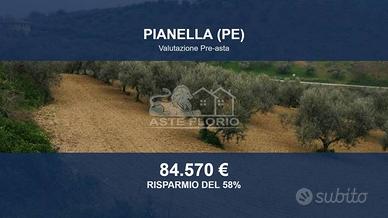 Immobile in asta di 49680 m² a Pianella