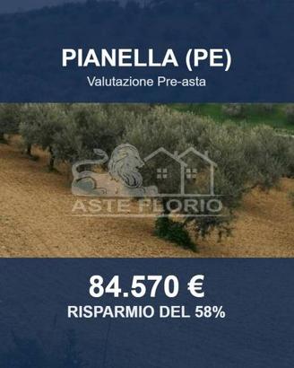 Immobile in asta di 49680 m² a Pianella
