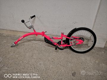 Bicicletta a rimorchio