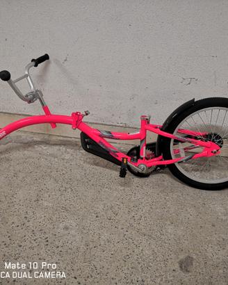 Bicicletta a rimorchio