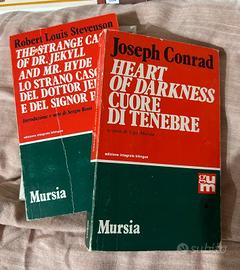 Lotto 8 libri classici famosi contemporanei storia