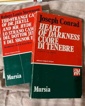 Lotto 8 libri classici famosi contemporanei storia