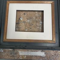 cornici di legno per quadri