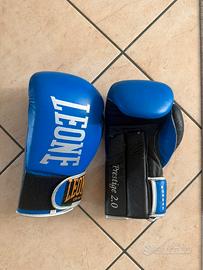 Leone boxe kickboxing set guanti