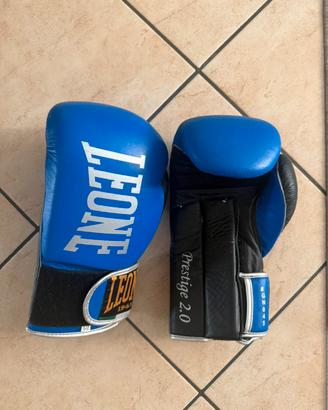 Leone boxe kickboxing set guanti