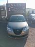 lancia-ypsilon-1-2-69-cv-5-porte-elefantino-2015-