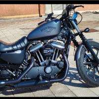 Harley Davidson 883IRON