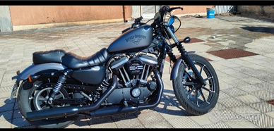 Harley Davidson 883IRON