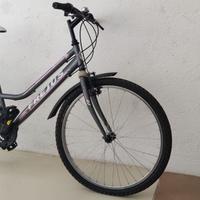 Bici - MTB donna Frejus
