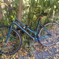 BIci 100 euro
