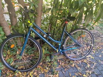 BIci 100 euro