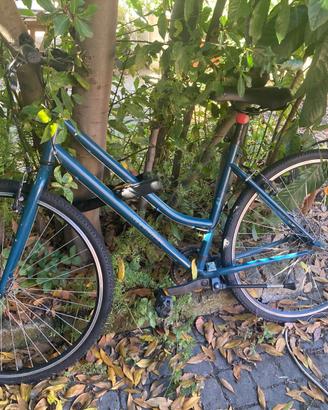 BIci 100 euro