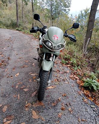 Cagiva canyon Jurassic world 