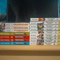 Manga Dragonball