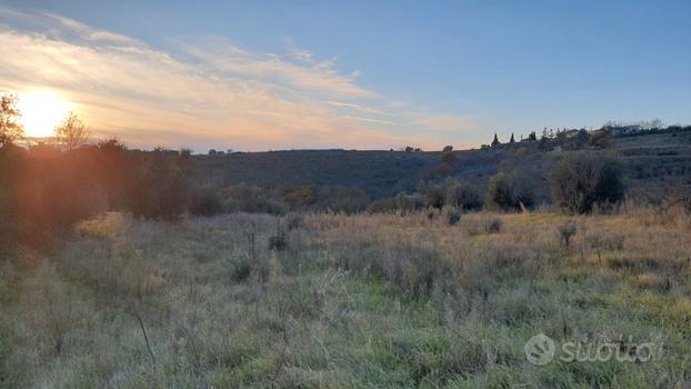 Terreno agricolo 4 ettari a Monterazzano, Viterbo