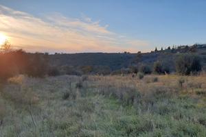 Terreno agricolo 4 ettari a Monterazzano, Viterbo