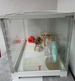 Kit Completo Criceti Niteangel Stacker + Ruota Ped