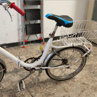 Bici tipo graziella donna