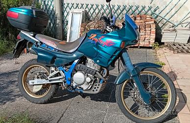 disponibile 10