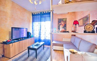 BILOCALE RISTRUTTURATO , IN ZONA SANT'AGABIO !!!