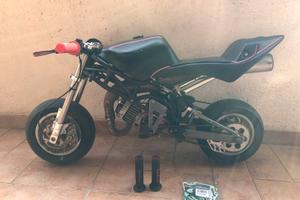Minimoto DM Polini