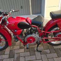 moto guzzi falcone