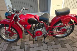 moto guzzi falcone