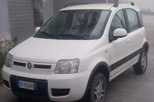 Panda 1.3 75 cavalli 4•4