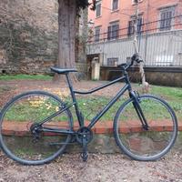 bicicletta riverside 100