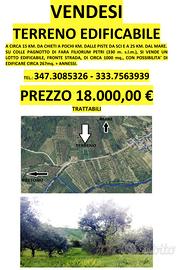 Terreno edificabile 1000 mq