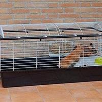 gabbia per conigli