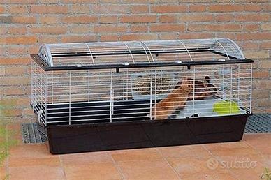 gabbia per conigli