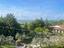 Immagine 7