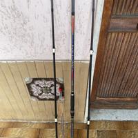 Coppia  canne trabucco beach ledgering
